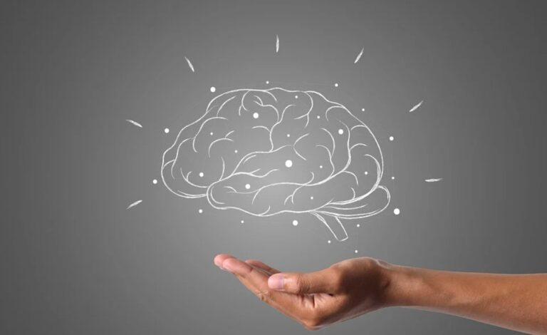Эффективные методы, как улучшить память и работу мозга взрослому